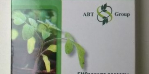 Gniloba korijena krastavaca u stakleniku: liječenje, fotografija, kako se nositi